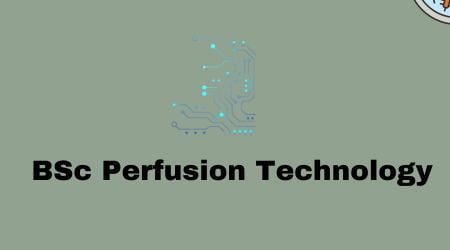 BSc perfusion technology course and its possibilities