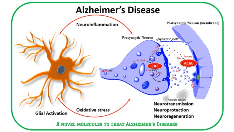 A novel molecules to treat Alzheimer’s Diseases