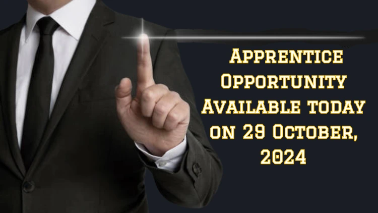 Apprentice Opportunity Available today on 29 October, 2024