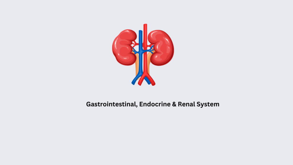 Gastrointestinal, Endocrine & Renal System